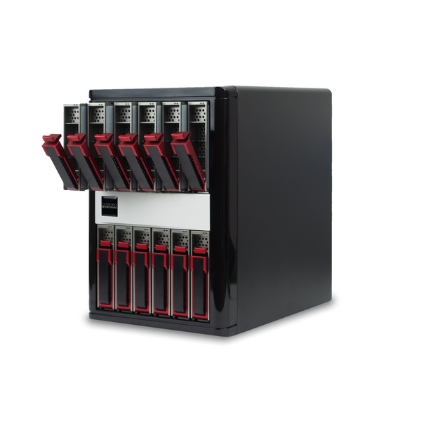 Maxx Digital - EvoRAID 12 Bay
